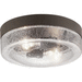 Progress PP550042129 Architectural Bronze Outdoor Ceiling Mounted Light