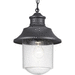 Progress PP550043031 Black Outdoor Hanging Lantern