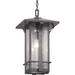 Progress PP550045020 Antique Bronze Outdoor Hanging Lantern