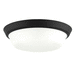 Progress PP350304031 Black Flush Mount Ceiling Light