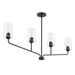 Progress PP400441031 Black Mid Sized Chandelier