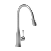 Pull-Out Spray Kitchen Faucet Single Hole