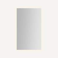  Presence Swing Door Medicine Cabinet - Mirror