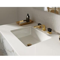 Bathroom Vanity Top