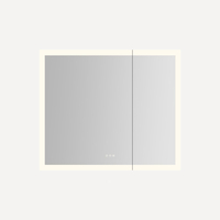 Swing Door Medicine Cabinet