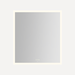 Robern RIM3640RPFPDT Mirror Square/Rectangular Mirror