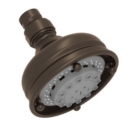  Spa Shower Head Shower Accessory - Tuscan Brass
