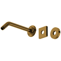  Spa Shower Arm Shower Accessory - Antique Gold