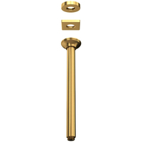  Spa Shower Arm Shower Accessory - Antique Gold