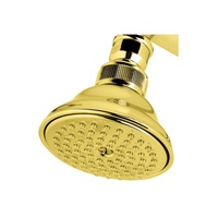 Georgian Era Shower Head Shower Accessory - Italian Brass