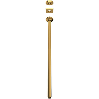  Spa Shower Arm Shower Accessory - Antique Gold
