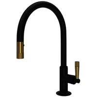 Pull-Out Spray Kitchen Faucet Pull-Out Spray Kitchen Faucet