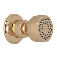  Edwardian Body Spray Shower Accessory - Unlacquered Brass