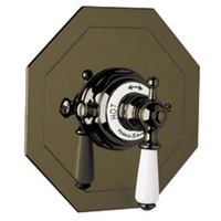 Thermostatic Valve Trim