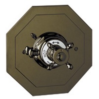 Thermostatic Valve Trim