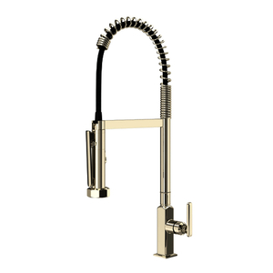 RAP59D1LMPN Apothecary Pre-Rinse Spray Kitchen Faucet - Polished Nickel