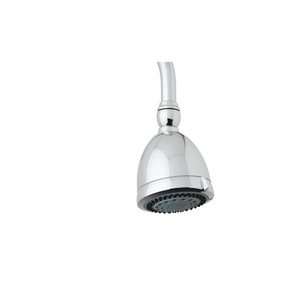 RU5800APC Georgian Era Shower Head Shower Accessory - Polished Chrome