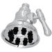 Rohl RWI0123APC Polished Chrome Shower Head