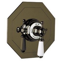 Thermostatic Valve Trim