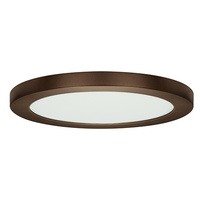 Flush Mount Ceiling Light