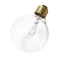Incandescent 25 W Incandescent 25 W
