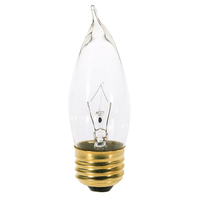 Incandescent 25 W