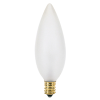 Incandescent 25 W