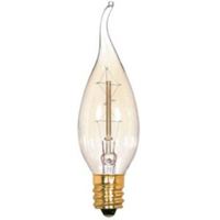  Vintage Edison Incandescent Light Bulb - Clear