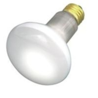 Incandescent 30 W Incandescent 30 W
