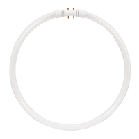 Compact Fluorescent 22 W