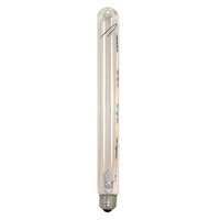  Incandescent Light Bulb - Warm White