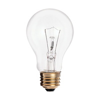 Incandescent 60 W