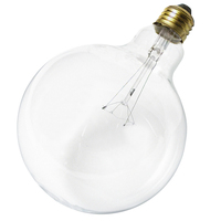  Incandescent Light Bulb - Clear