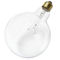 Incandescent 100 W Incandescent 100 W