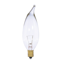 Incandescent 25 W