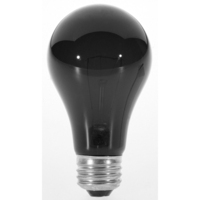  Incandescent Light Bulb - Black