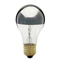 Incandescent 100 W Incandescent 100 W