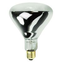 Incandescent 250 W
