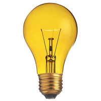Incandescent 25 W