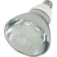 Compact Fluorescent 23 W