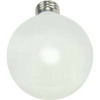 Compact Fluorescent 15 W
