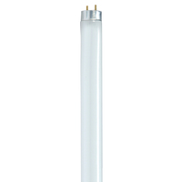  T8 Medium Bi Pin Fluorescent Tube Light Bulb - White