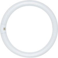  CFL Circline Compact Fluorescent Light Bulb - White