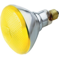 Incandescent 100 W