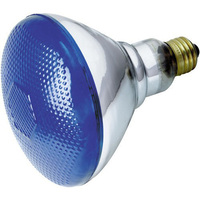 Incandescent 100 W Incandescent 100 W