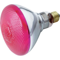 Incandescent 100 W