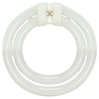  CFL Circline Compact Fluorescent Light Bulb - Silver