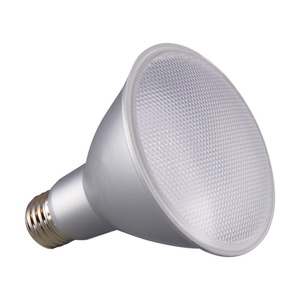 SS29436 LED Light Bulb - Warm White