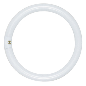 SS6500 CFL Circline Compact Fluorescent Light Bulb - White