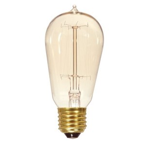 SS2423 Vintage Edison Incandescent Light Bulb - Clear